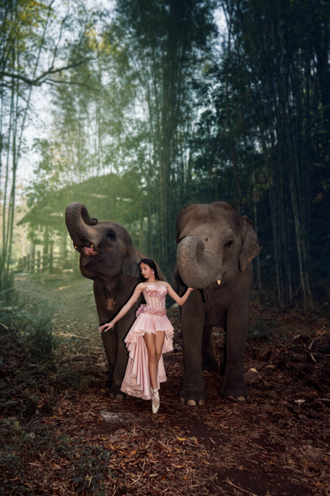 Quinceañera in a pink dress walking with elephants in a Thailand bamboo forest