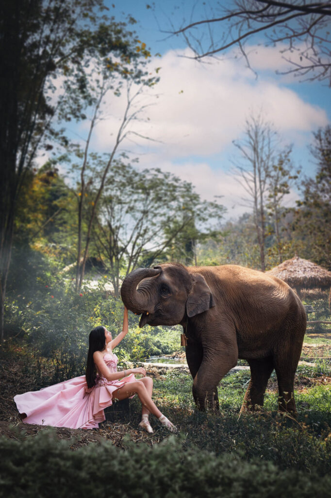 Quinceañera in a pink gown with an elephant in a meadow in Thailand