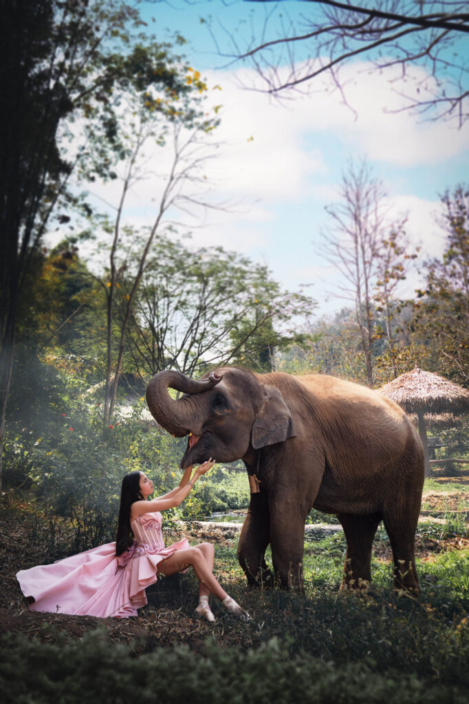 Quinceañera in a pink gown touching an elephant's trunk in Thailand